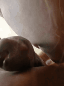 绝顶恼杀闷绝动图之(277)中国人妻臣服于黑鬼5 绝顶恼杀闷绝动图之(277)中国人妻臣服于黑鬼5