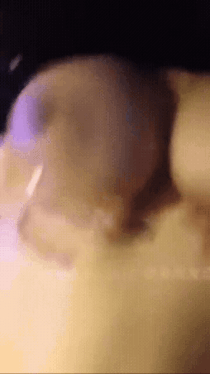 绝顶恼杀闷绝动图之(293)国産精选私房秘制31 绝顶恼杀闷绝动图之(293)国産精选私房秘制31