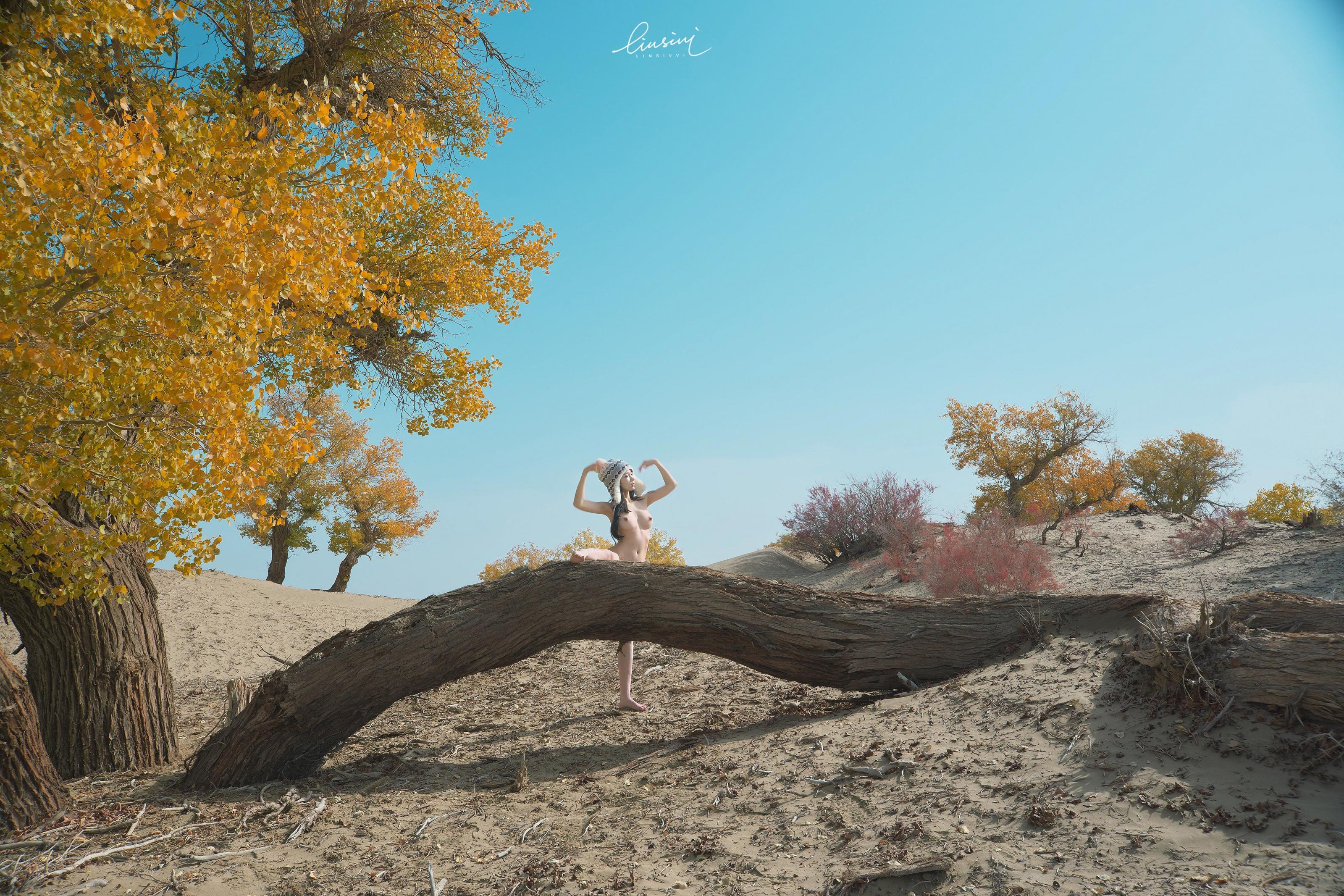 希威社嫩模作品收藏4[141P]