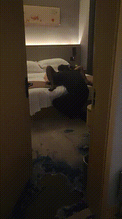 骗老婆蒙眼，联合网友3P轮流无套中出[20P6GIF]