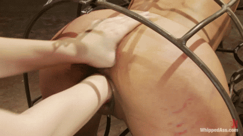 后入GIF 大自然的搬运工6［35P］