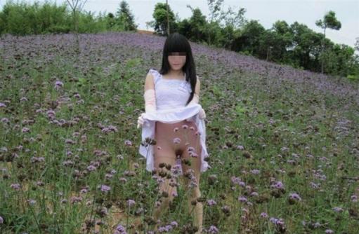 穿着连衣裙在薰衣草露出的女孩[17P]