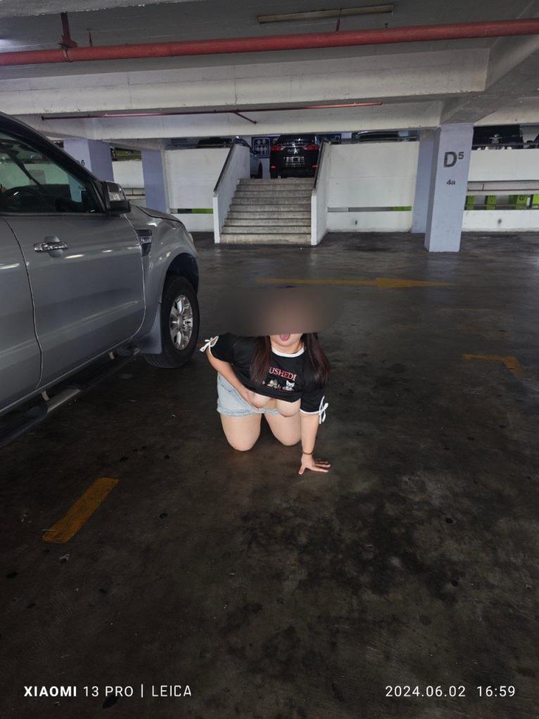 来来来，大家一起来按F[24P]