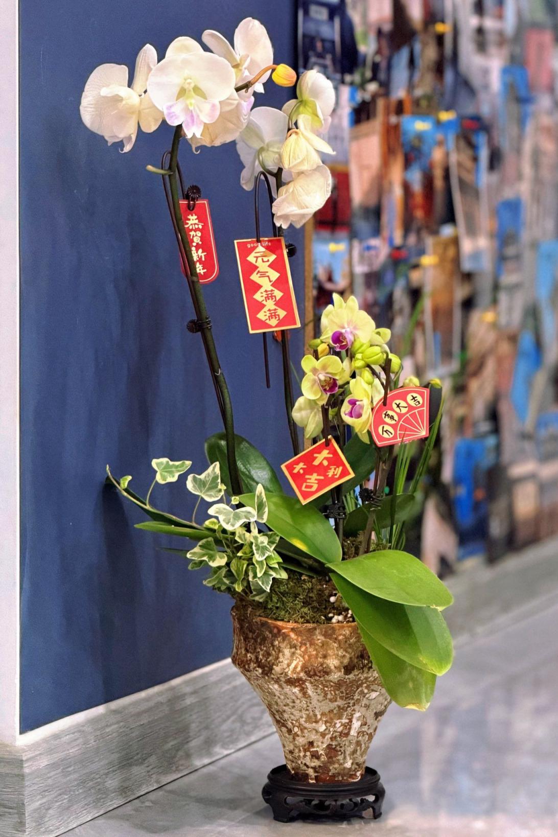 只要好好爱我 想怎么玩都给你玩喔[14P]