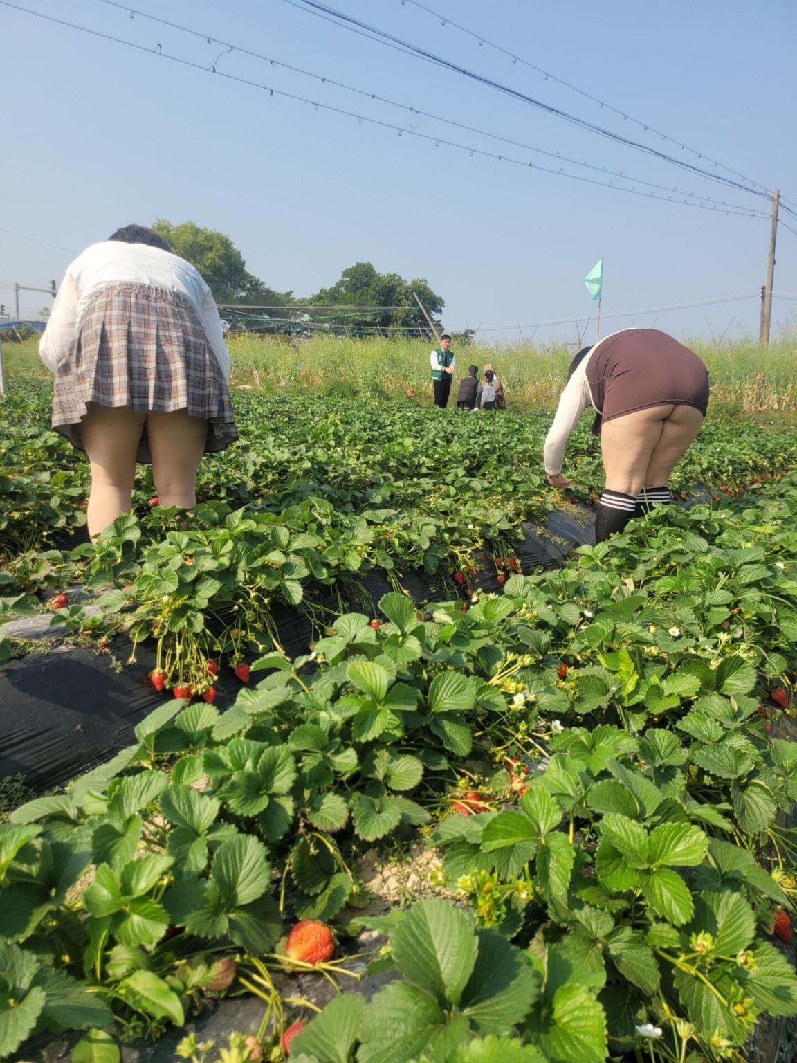 裙底风光无限美[123P]