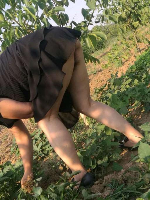 裙底风光无限美[123P]