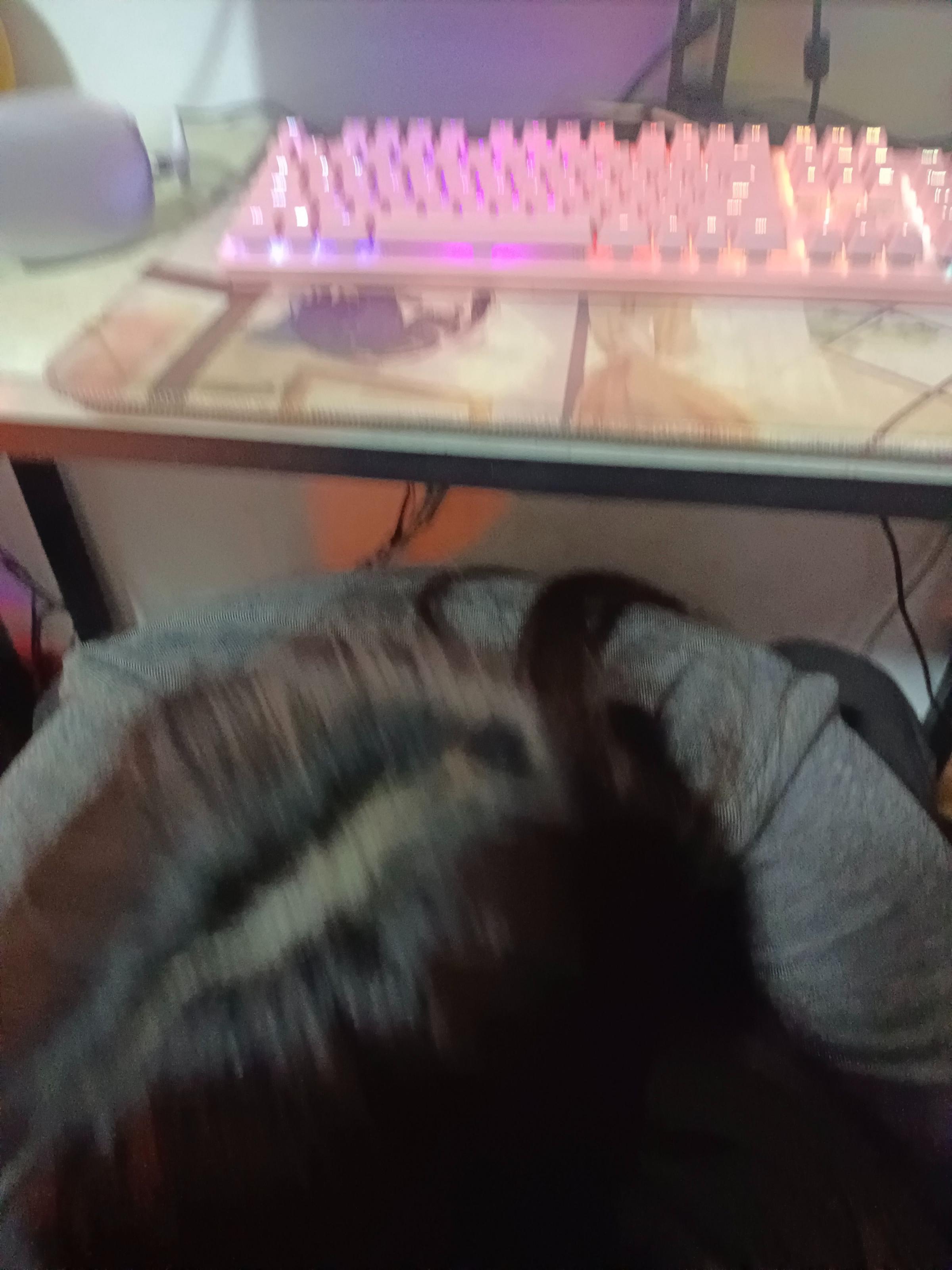 极品骚货梦幻的五天[13P]