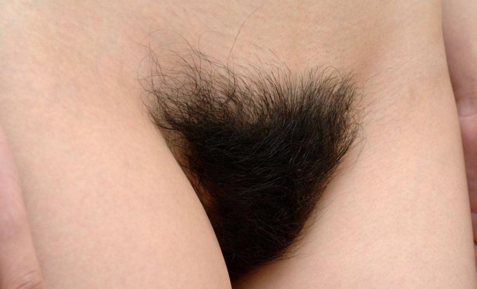 让人眼前一亮的毛之美[32P]