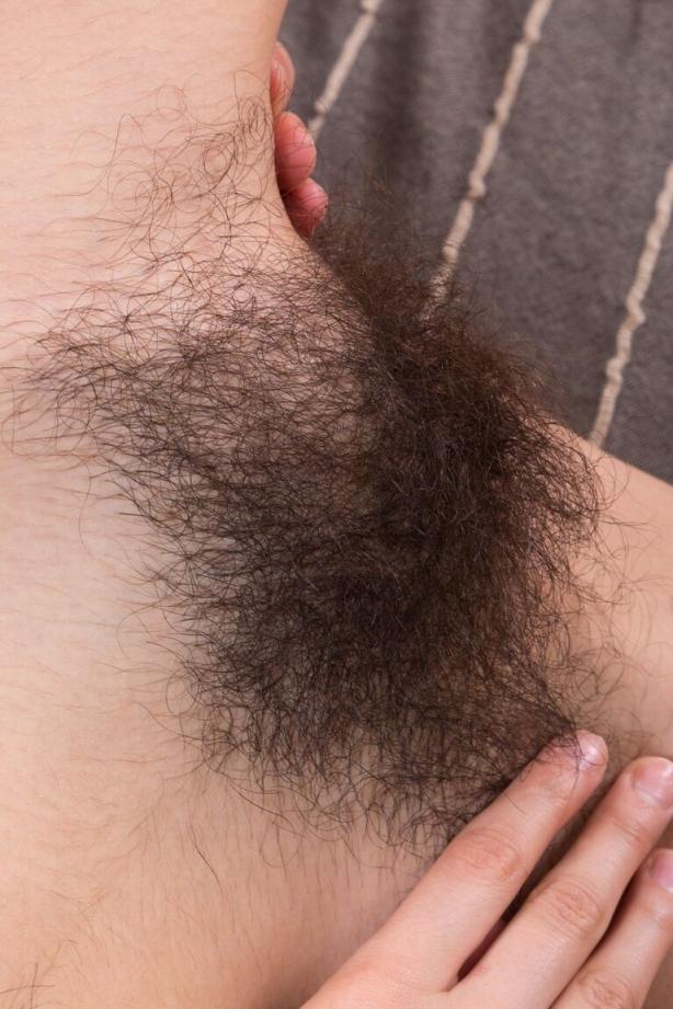 让人眼前一亮的毛之美[32P]