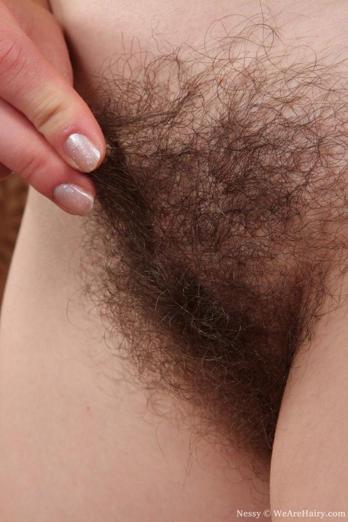 让人眼前一亮的毛之美[32P]