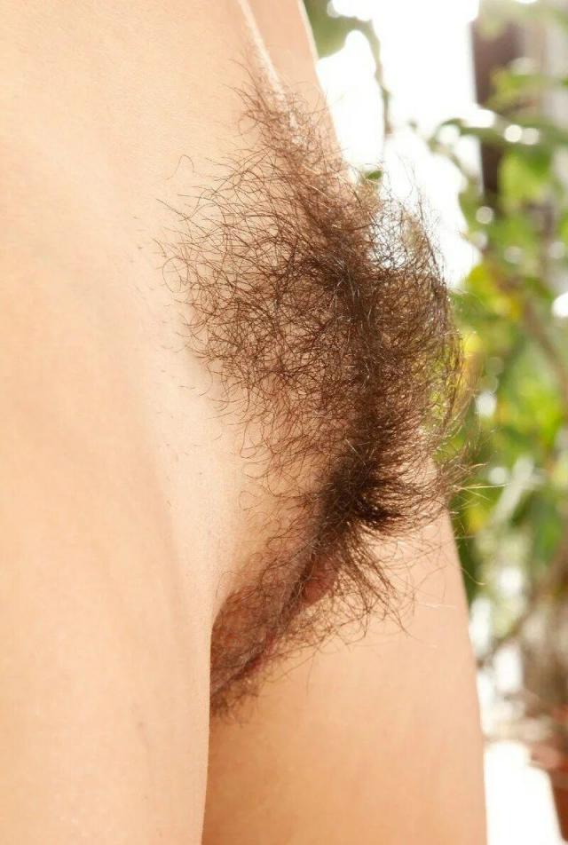 让人眼前一亮的毛之美[32P]