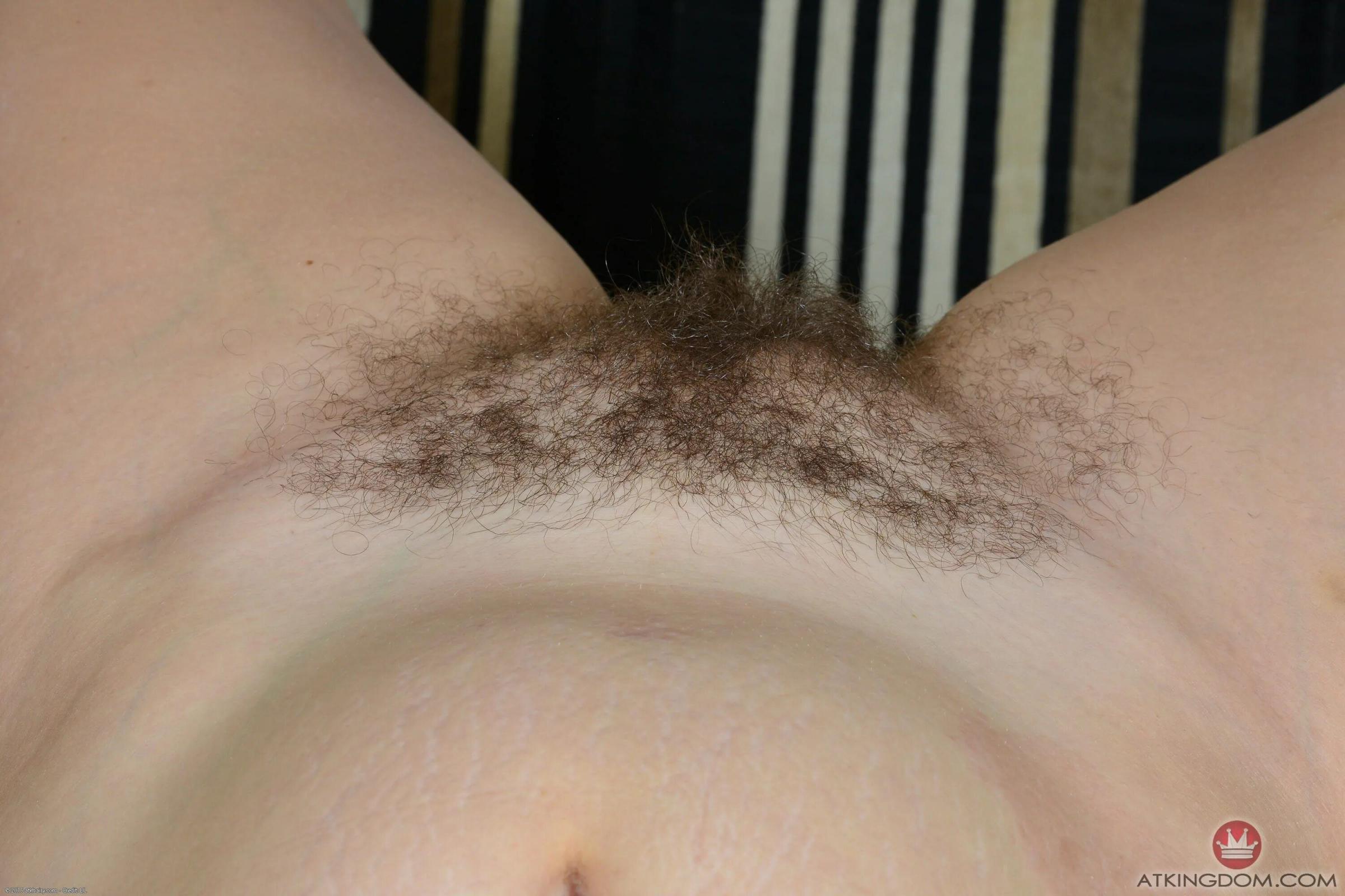 让人眼前一亮的毛之美[32P]