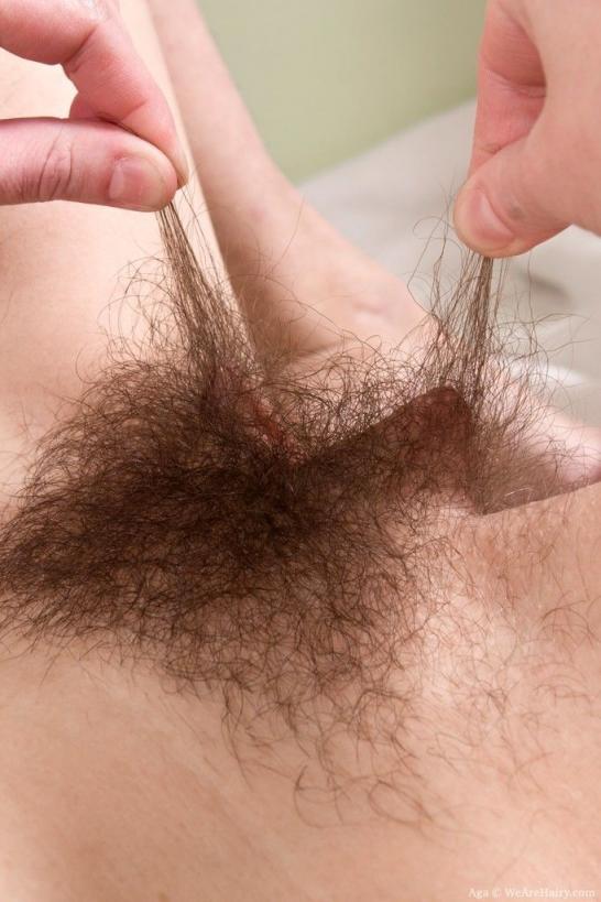 让人眼前一亮的毛之美[32P]