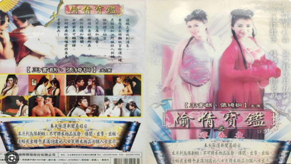 【影x2】（三級）家庭秘密保姆_偷情寶鑒之尋春夜
